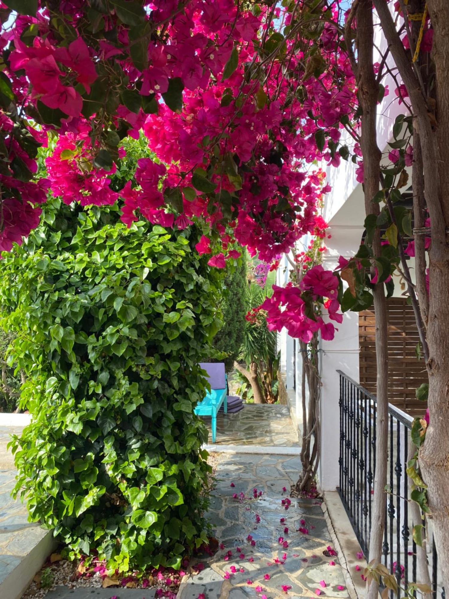Buenavista Suites Hotel Boutique Santa Eularia des Riu Dış mekan fotoğraf
