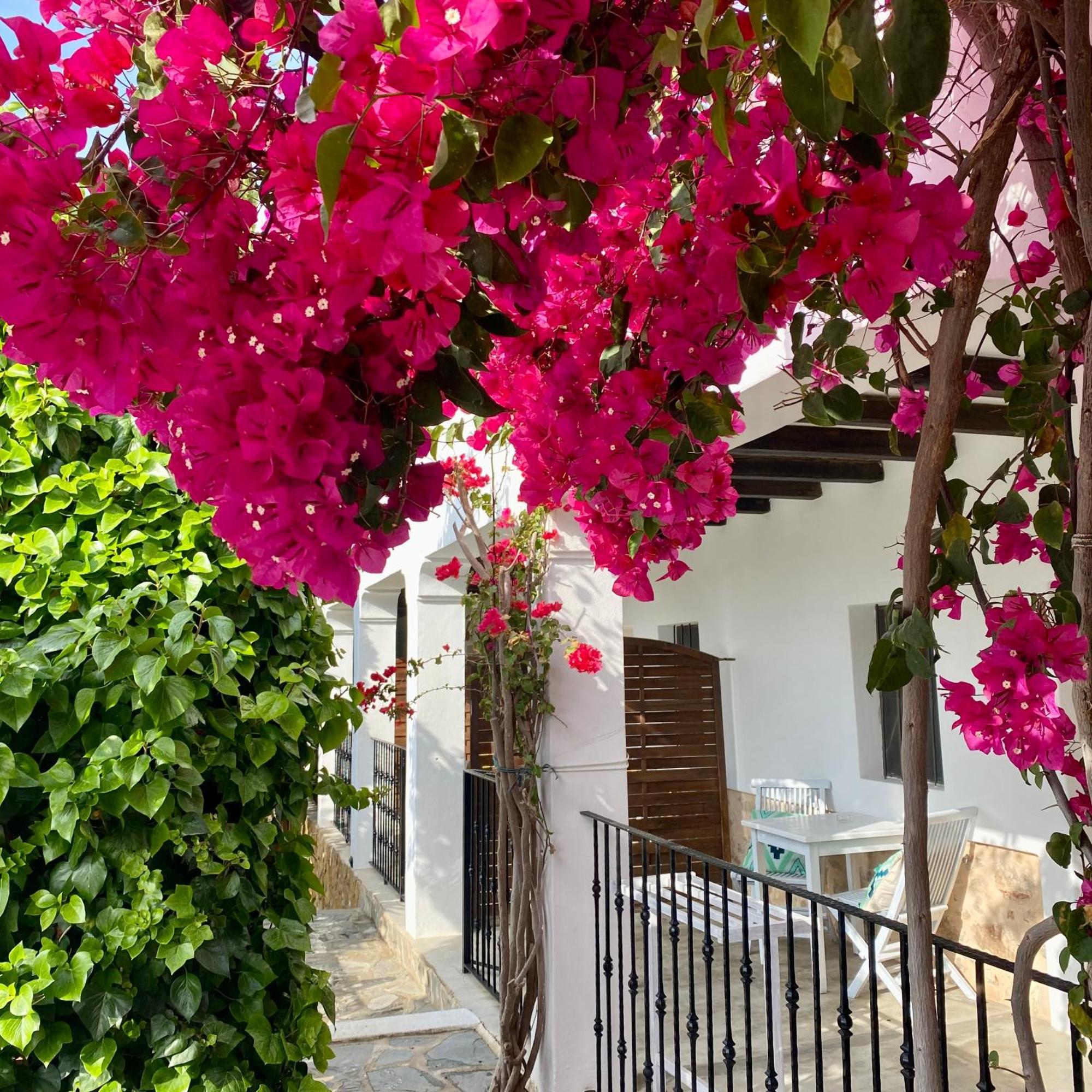 Buenavista Suites Hotel Boutique Santa Eularia des Riu Dış mekan fotoğraf